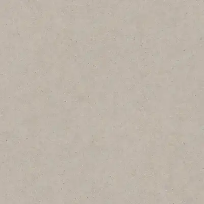 Pietra světle šedá